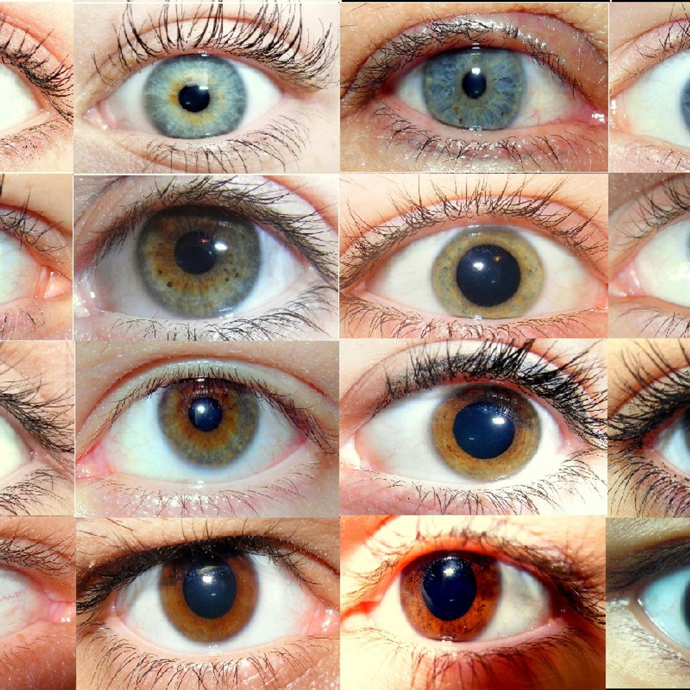 Olhos! episode artwork