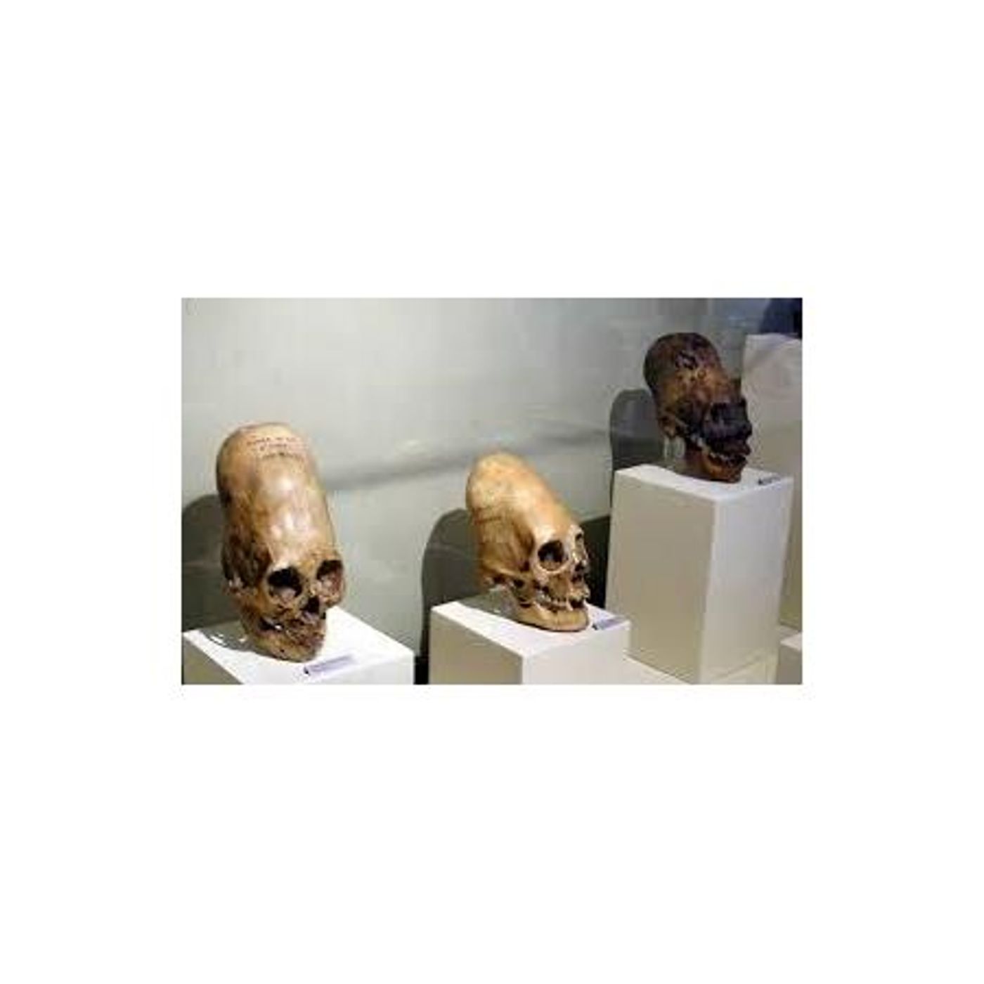 O YE DRYBONES (ARCHIVE)