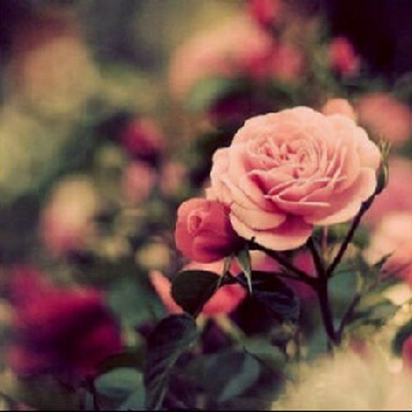 كلام.. cover art