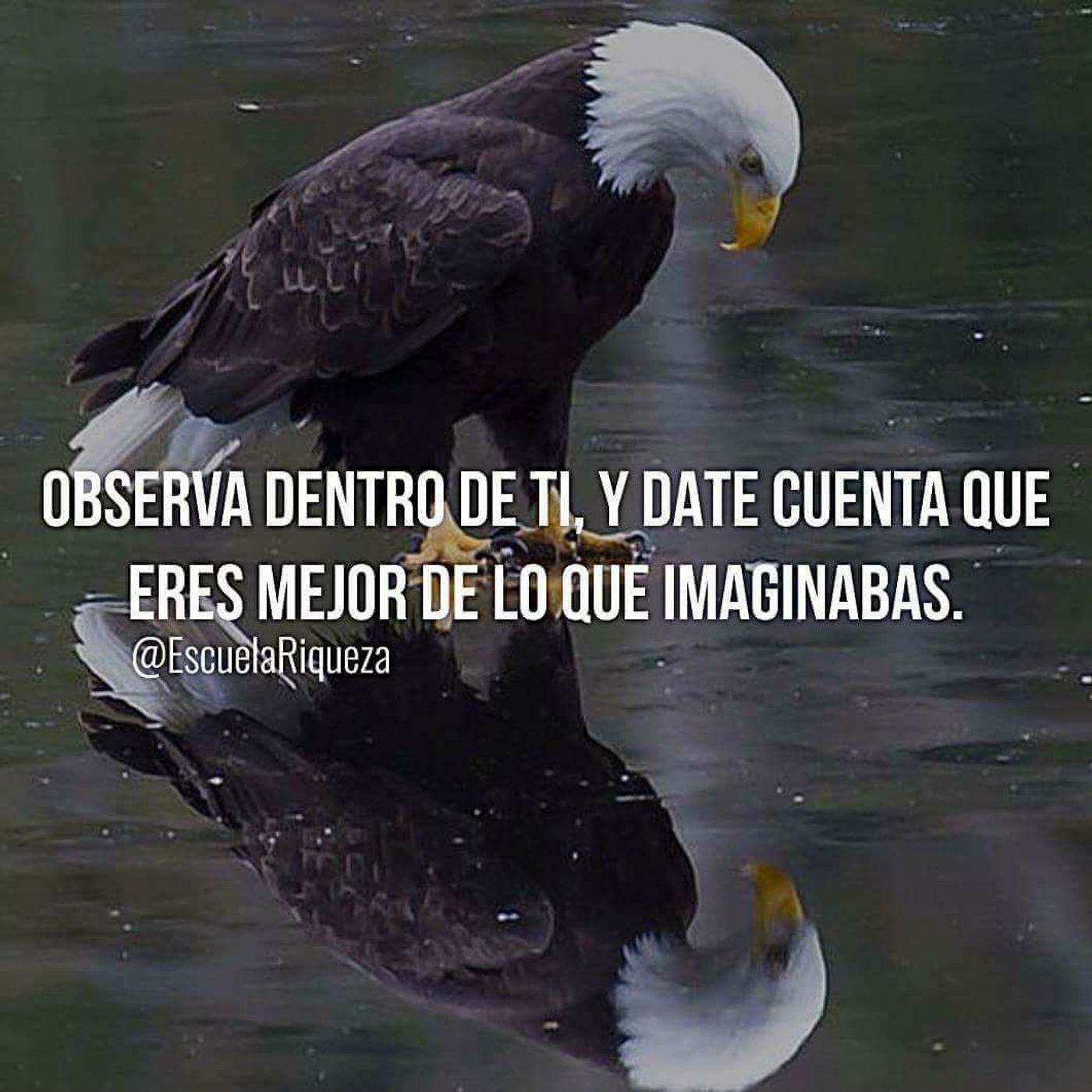 PÍLDORAS COACH "NECESIDAD DE APROBACIÓN"