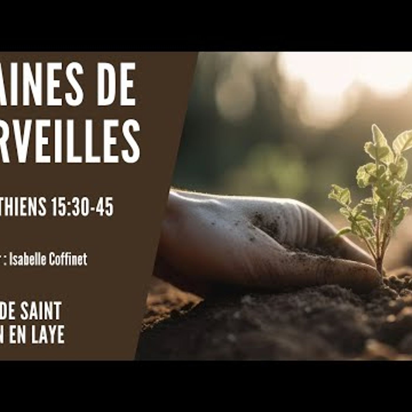 Vous êtes le Temple - Isabelle Coffinet - Graines de merveilles