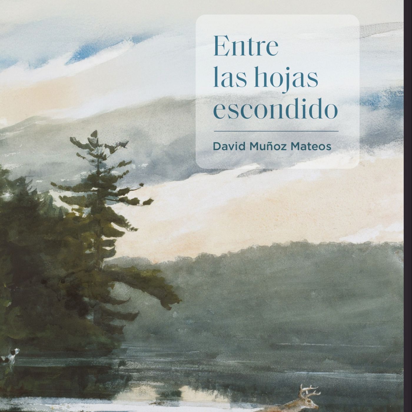La biblioteca |  David Muñoz Mateos 'entre las hojas escondido' episode artwork