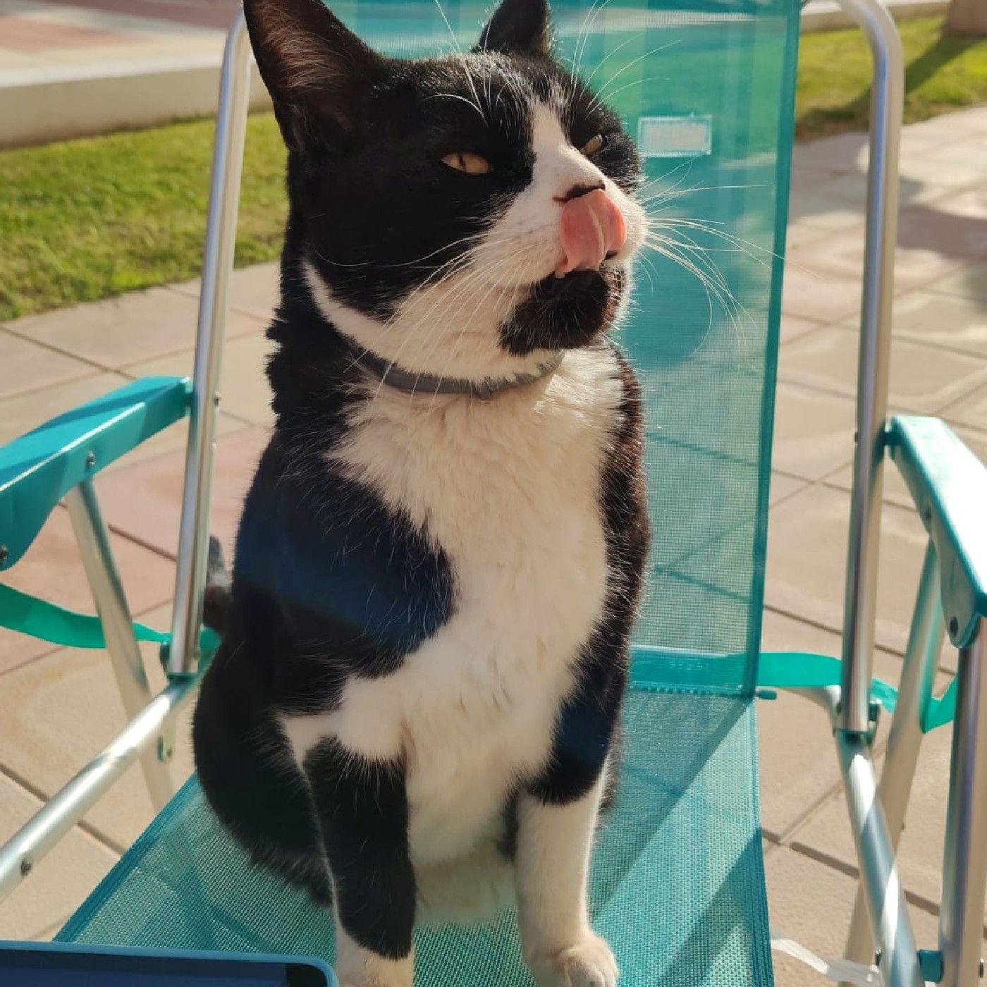 ASG14 MOD 3 Avanzado David Andreu