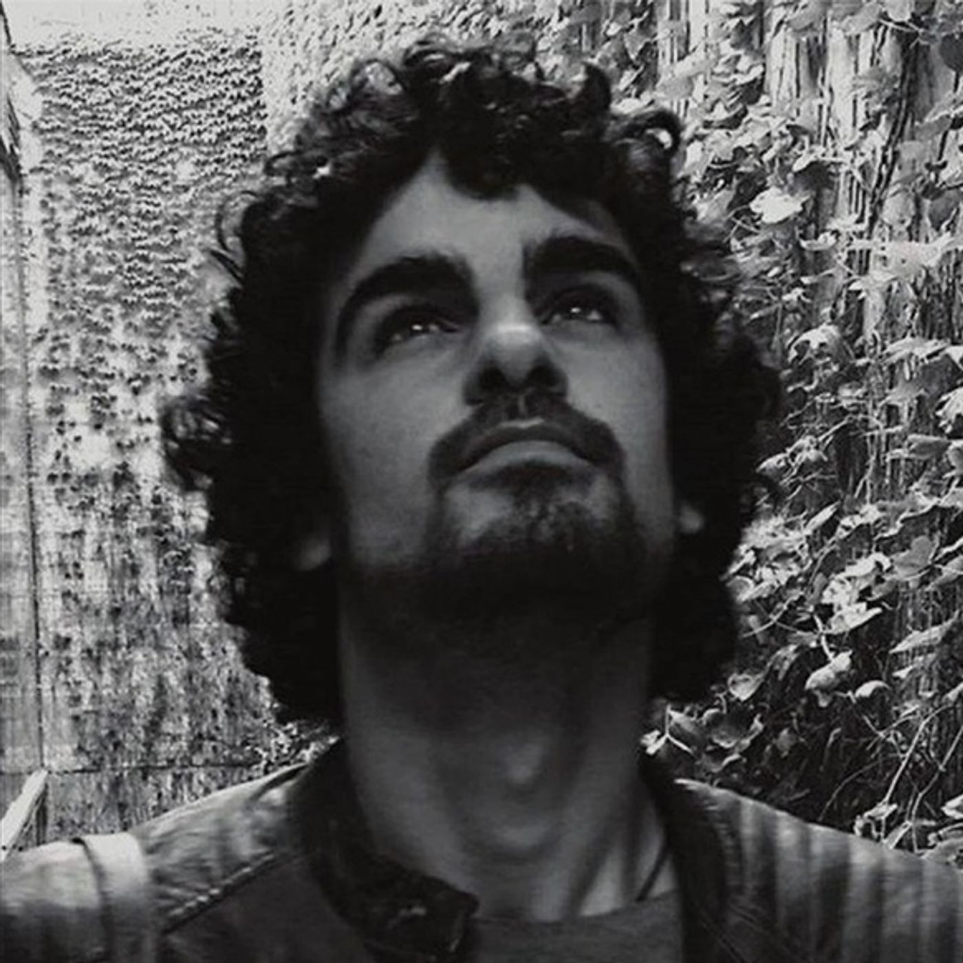 Dzikie fantazje, Luka Magnotta jako inspiracja oraz czarny kot | Podcast kryminalny Dzikie fantazje, Luka Magnotta jako inspiracja oraz czarny kot | Podcast kryminalny