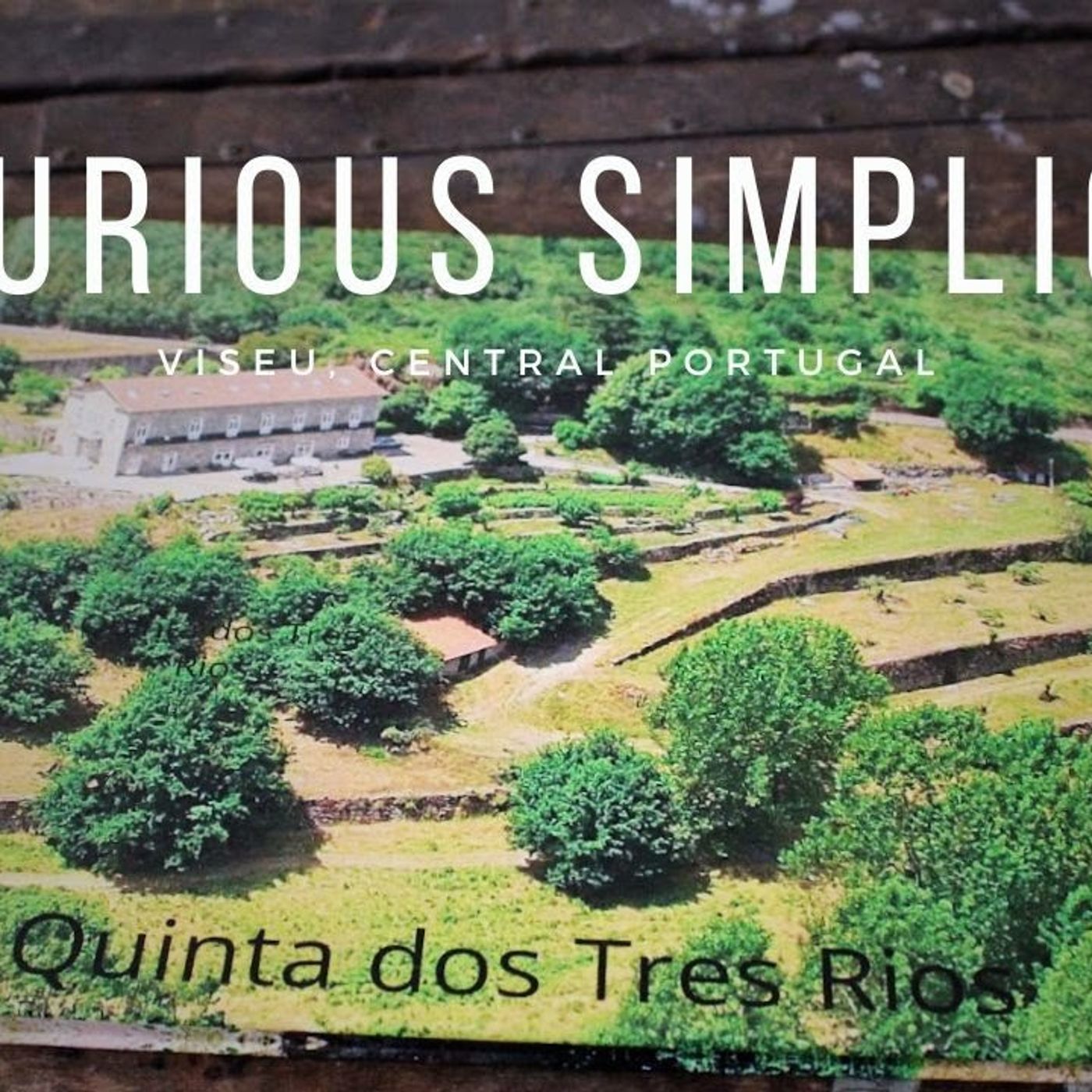 Luxury, Off-Grid Life in Portugal with Multi-Generational Potential #luxury #offgrid #portugal #community