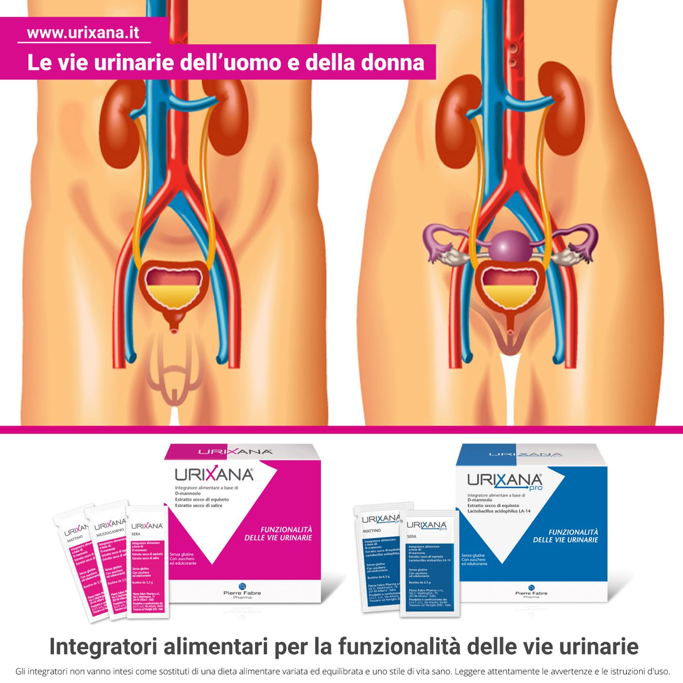 Le vie urinarie dell’uomo e della donna episode artwork