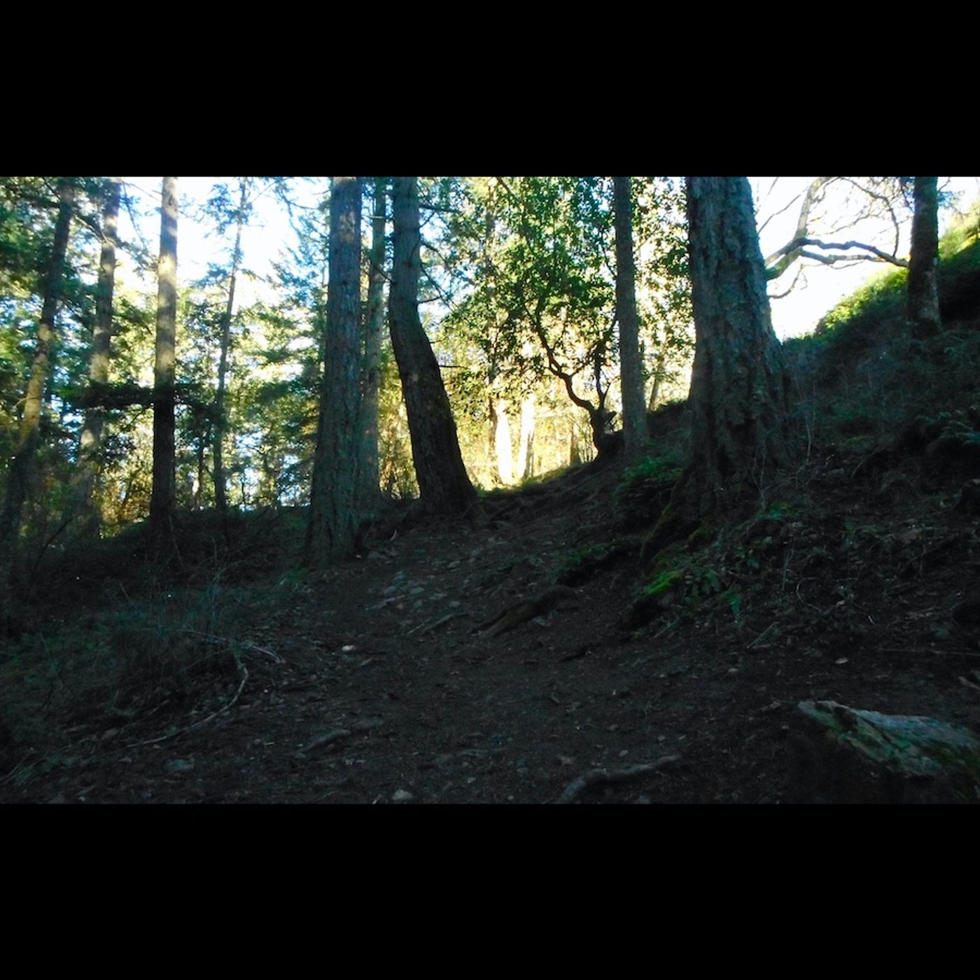 the hunter gatherer (full audio)