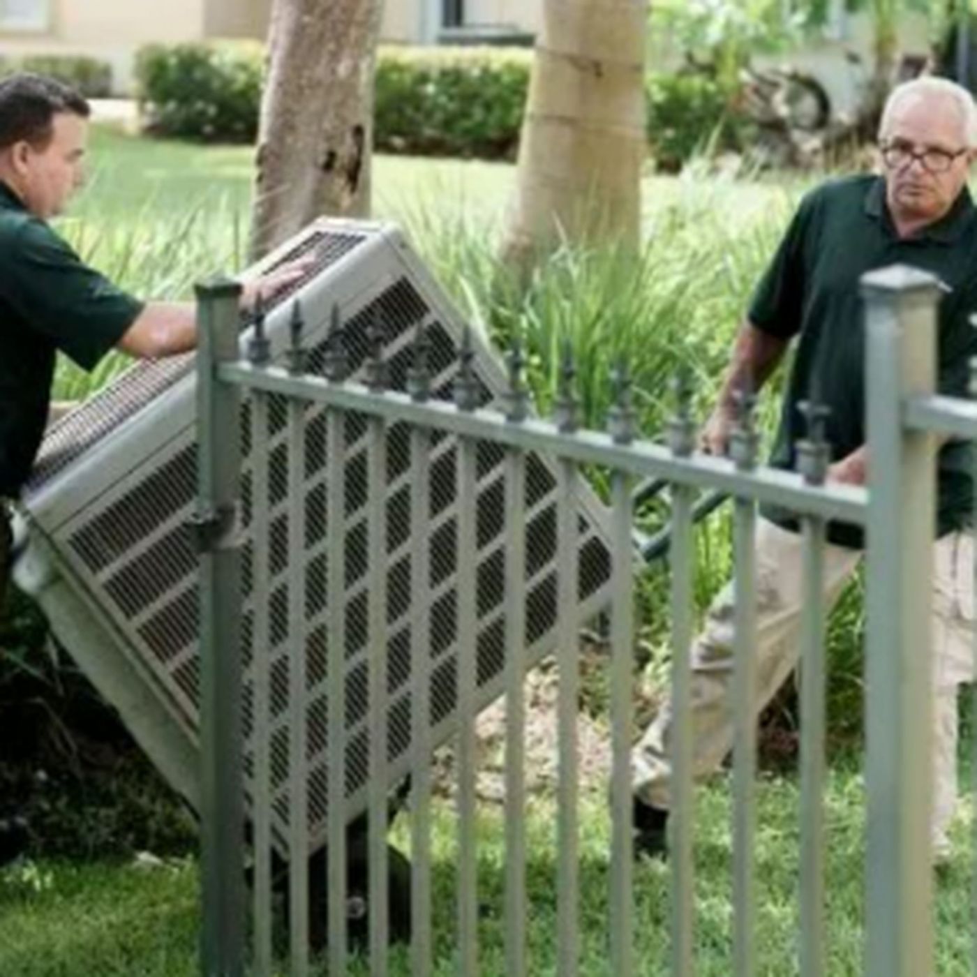 Best HVAC Tune Up Specials in Orlando FL