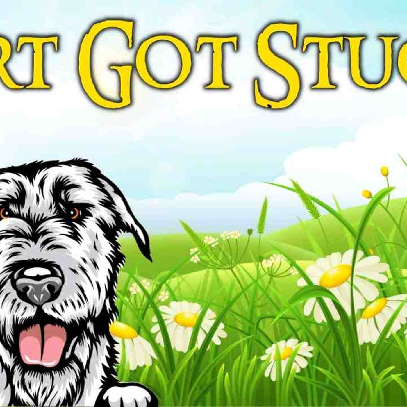Sleep Story for Children _ BERT GOT STUCK_ _ Sleep Meditation for Kids episode artwork