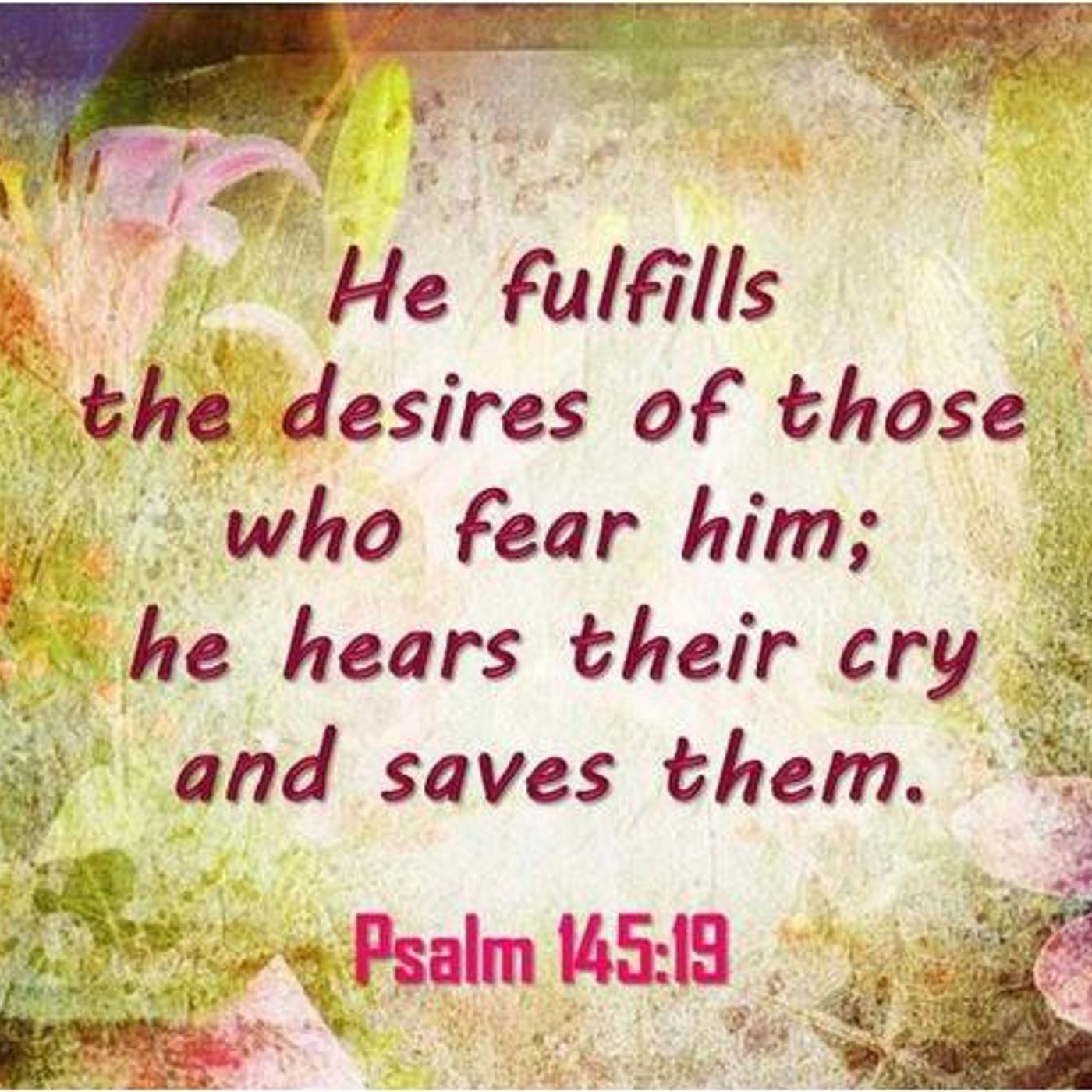 God And Those Who Fear Him (Part 4) Psalm 145:18-19 - S9 [B331] episode artwork