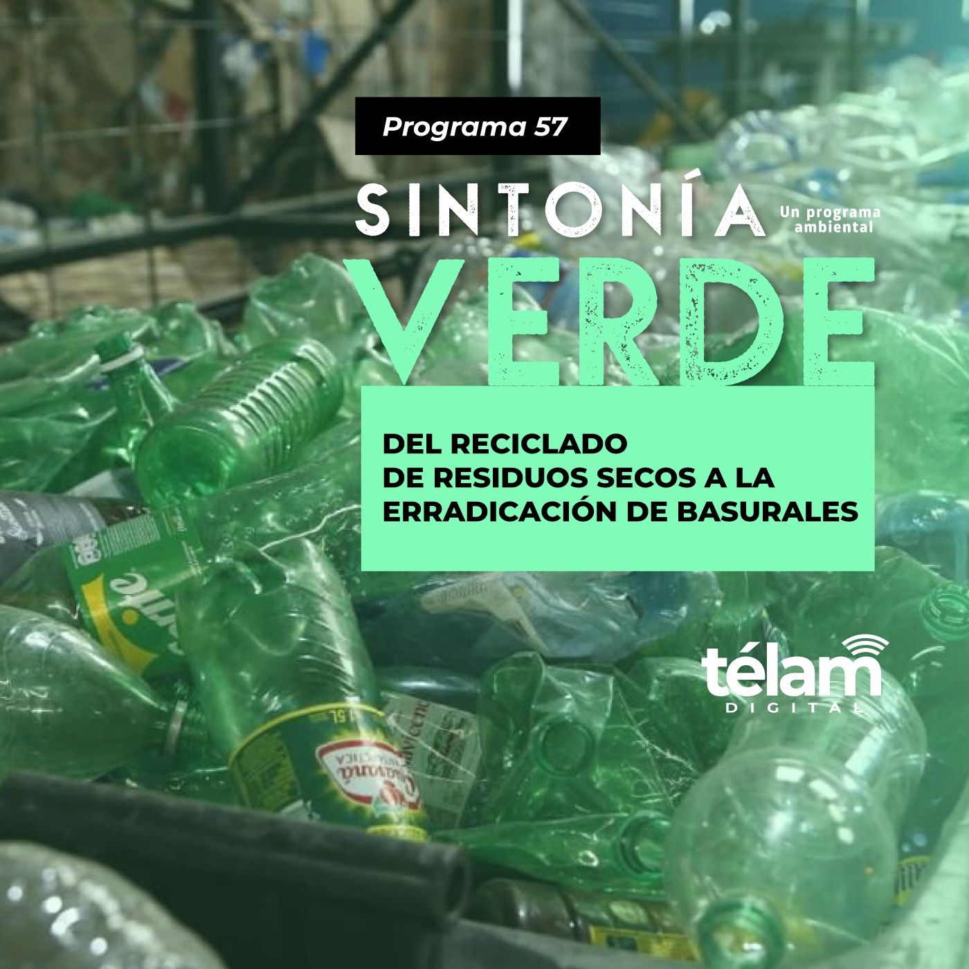 cover of episode Del reciclado de residuos secos a la erradicación de basurales