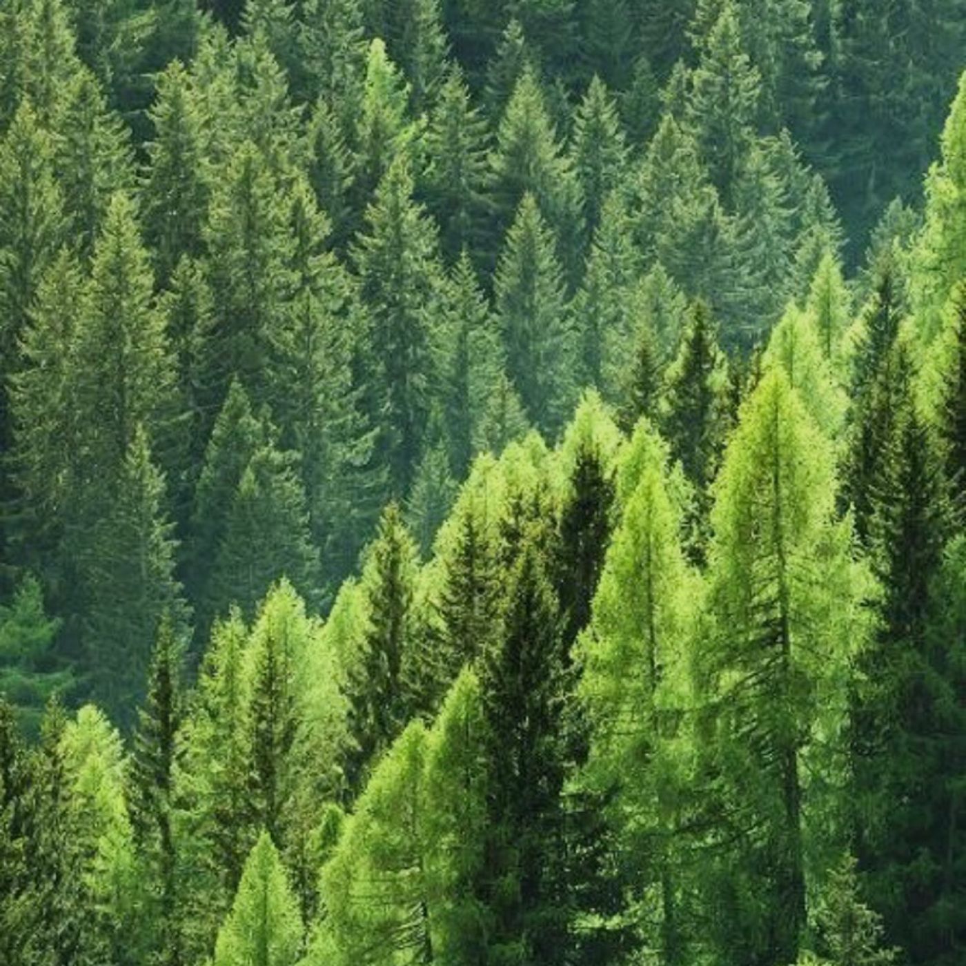 Il futuro episode artwork
