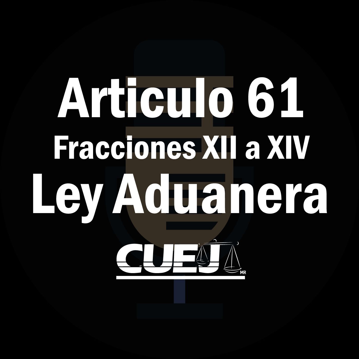 Audio Ley Aduanera