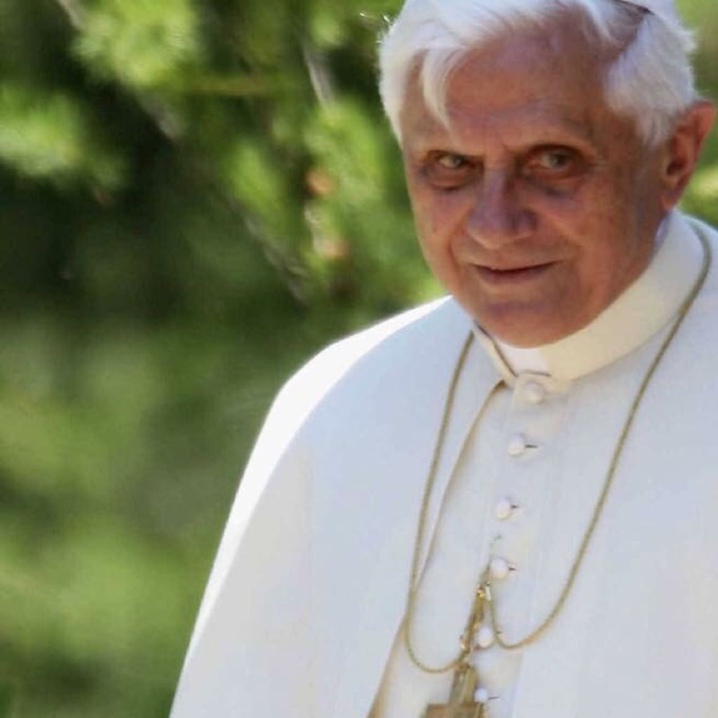 Papa Benedetto 16/SER Gänswein