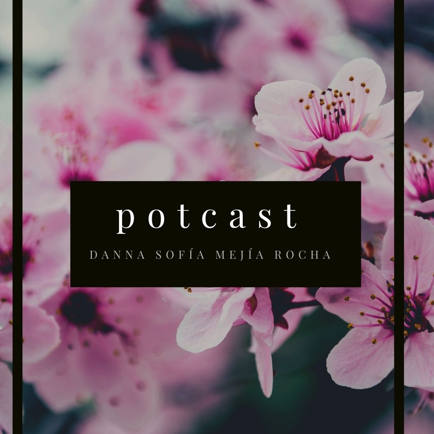 podcast colegio