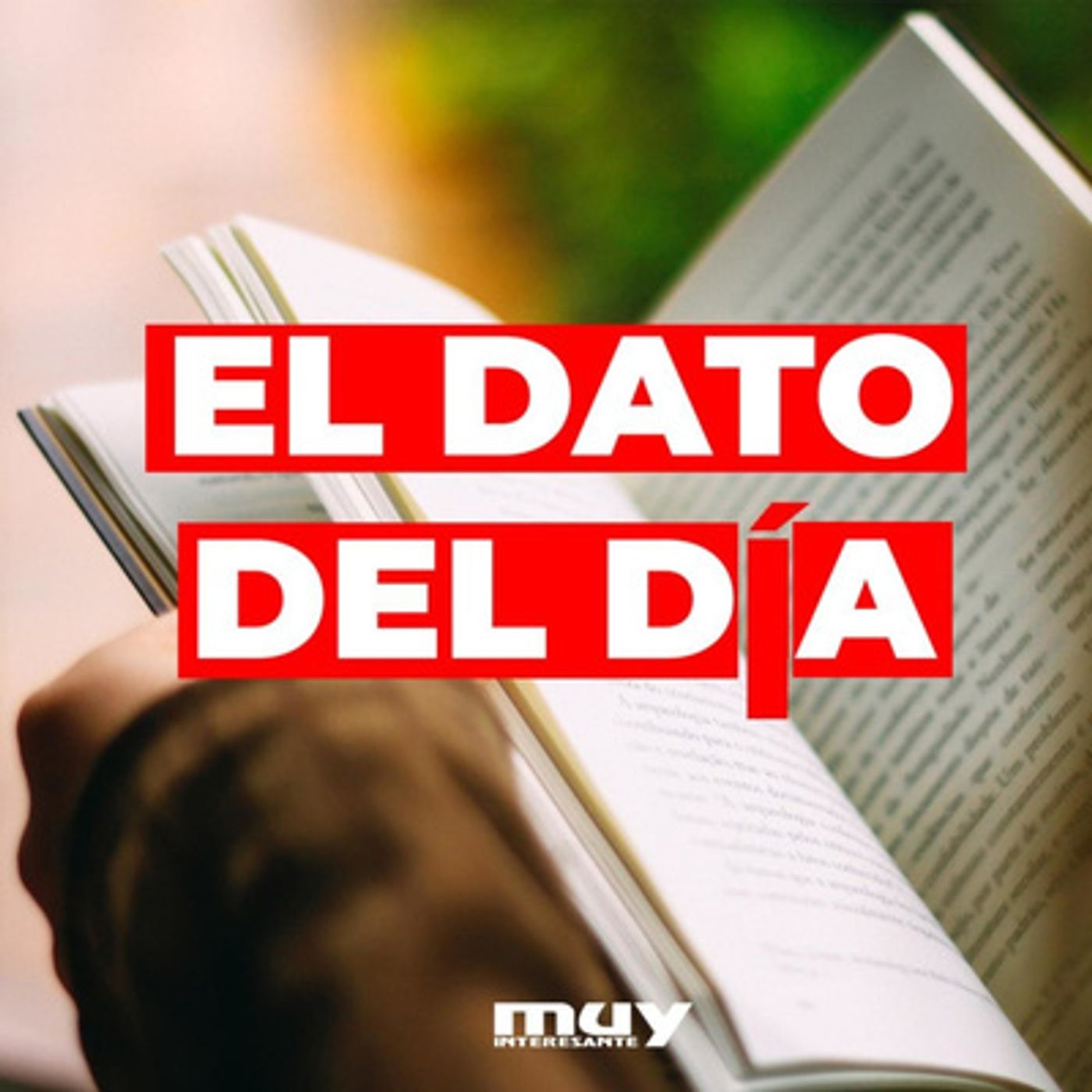 El Dato del Día