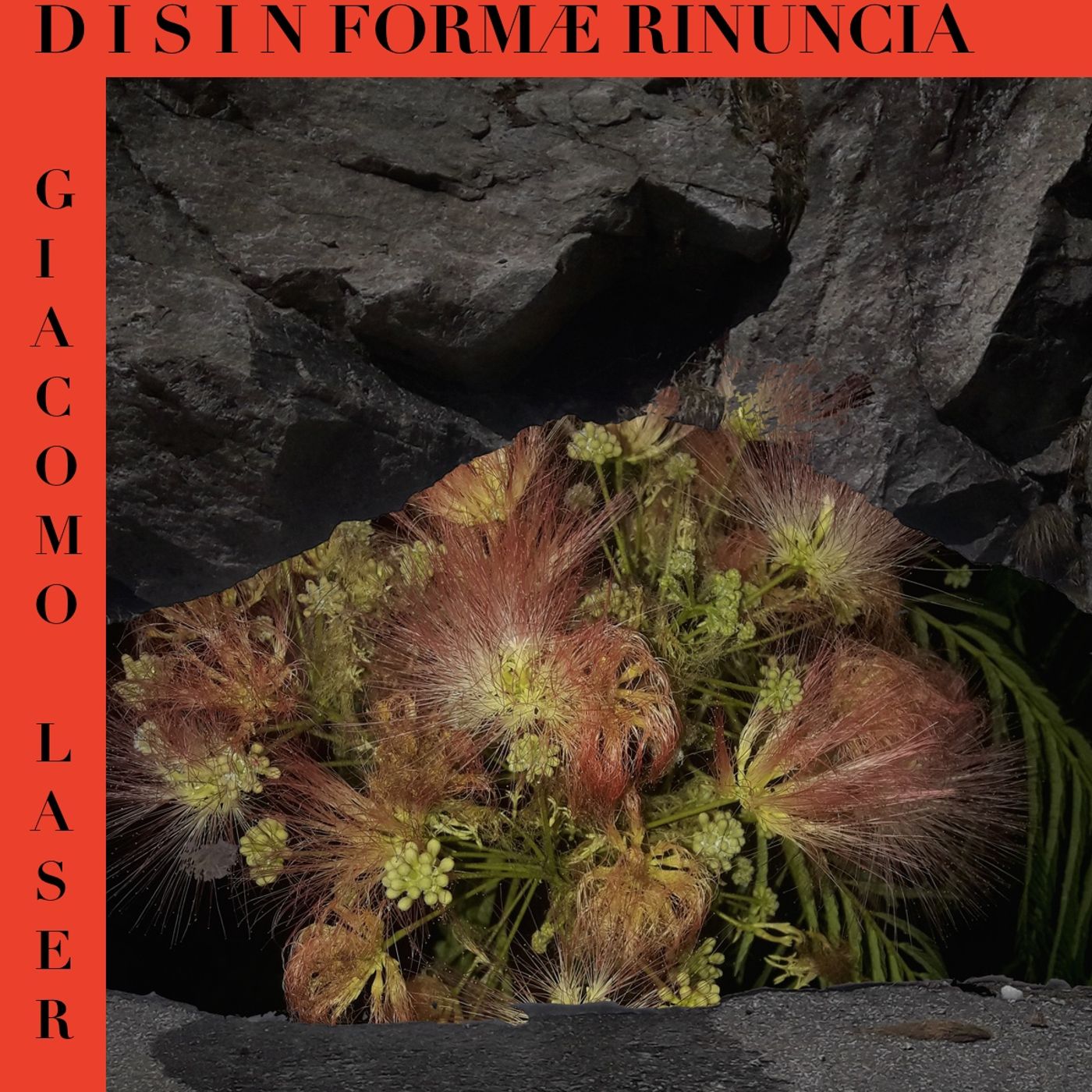DISINFORMA E RINUNCIA