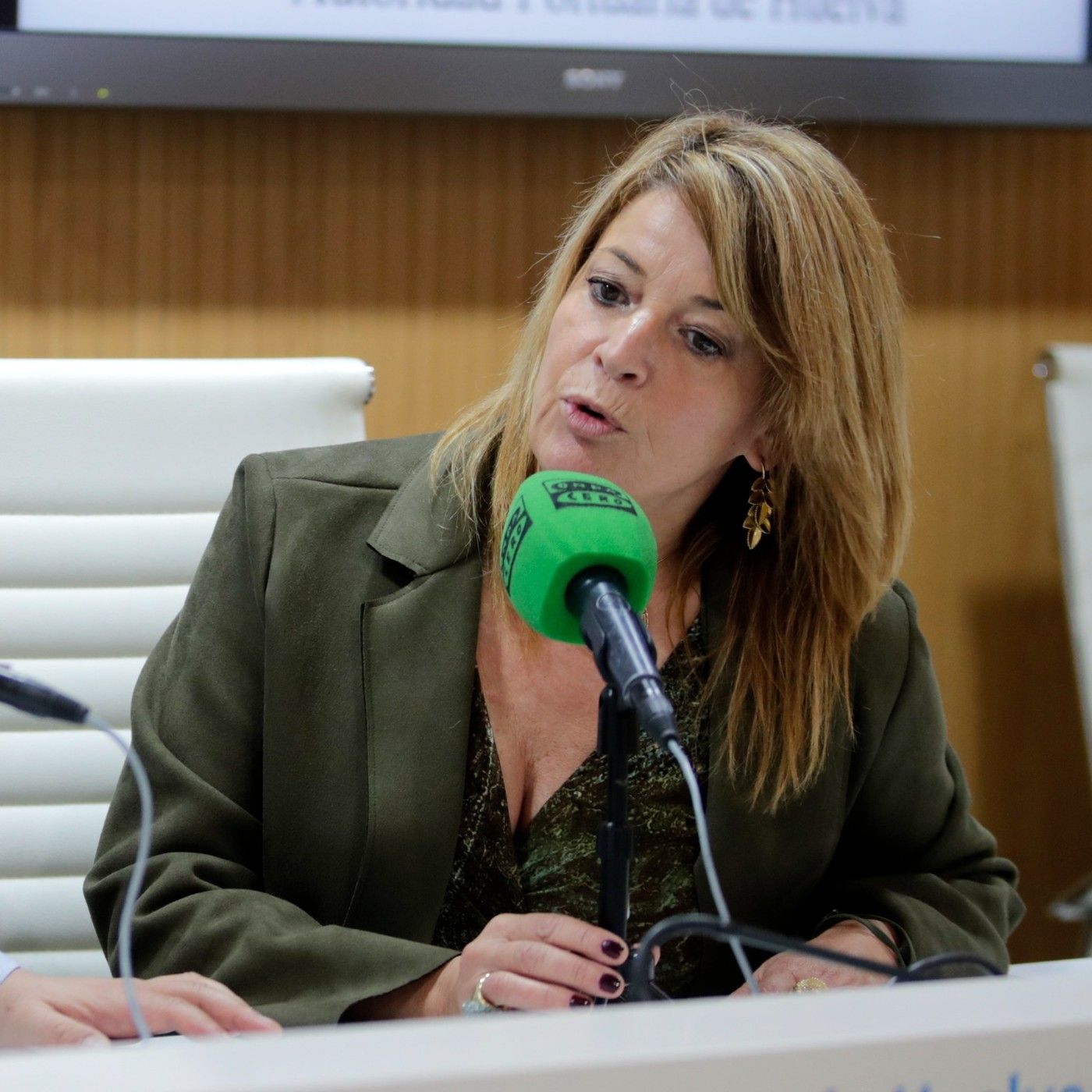 Andalucía Capital-Diego García Cabello