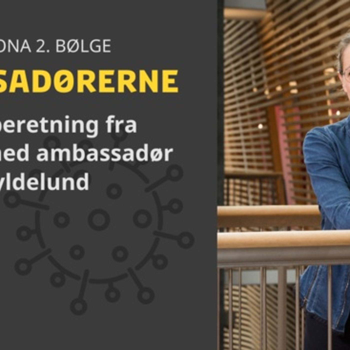 Ambassadørerne