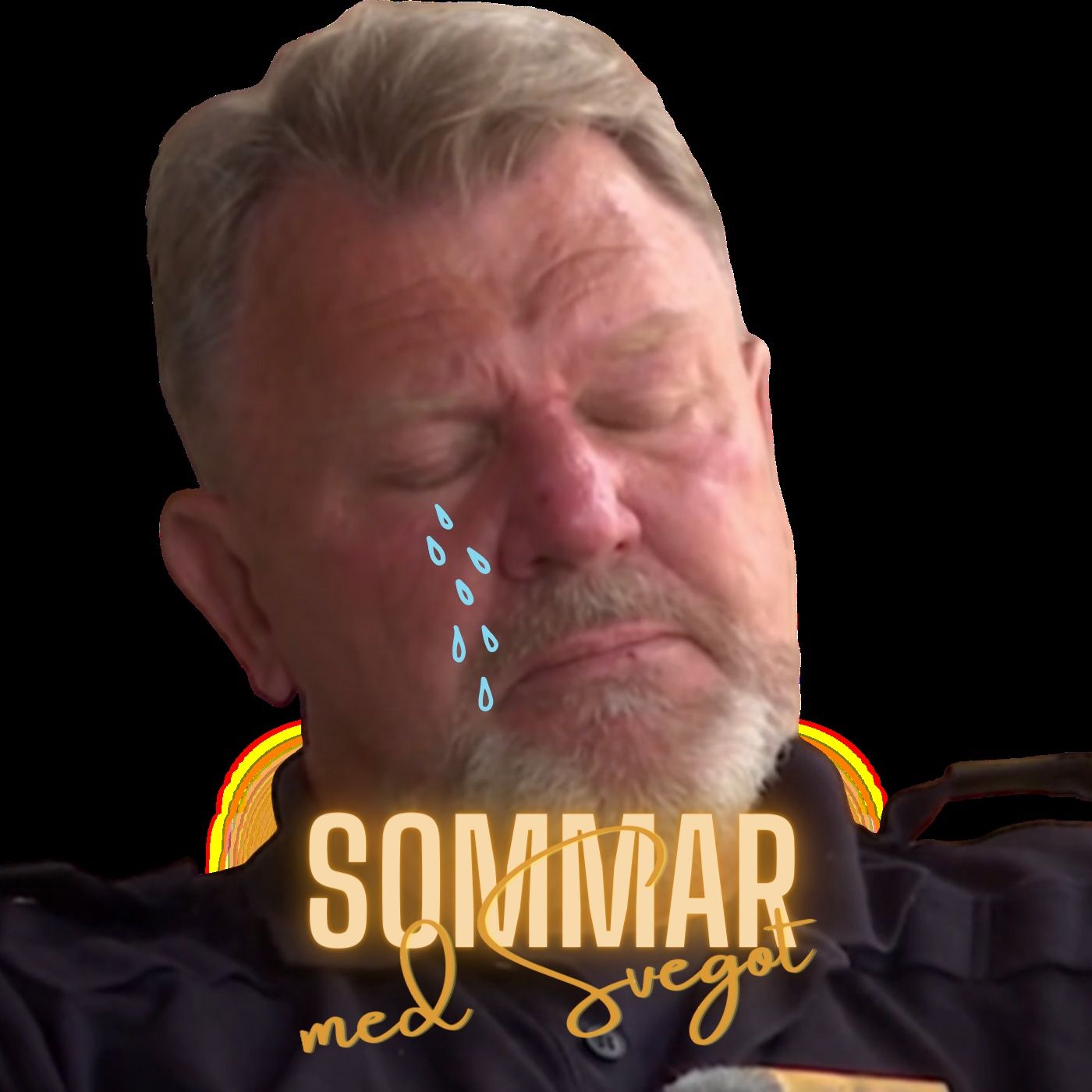 Det fria Sverige