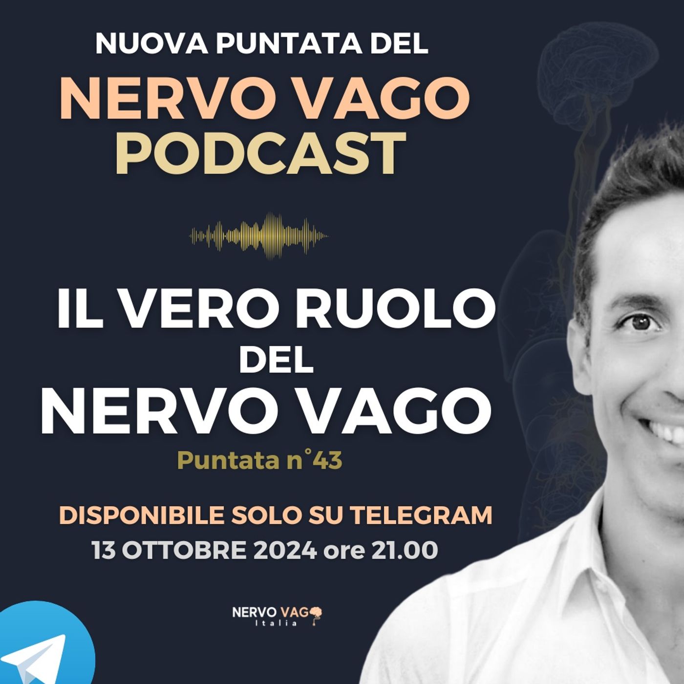 Nervo Vago Podcast
