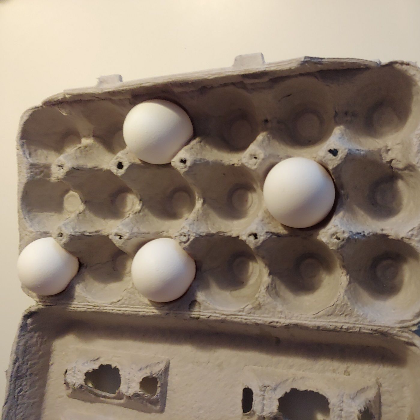 OCD Eggs >WASHING HANDS episode artwork