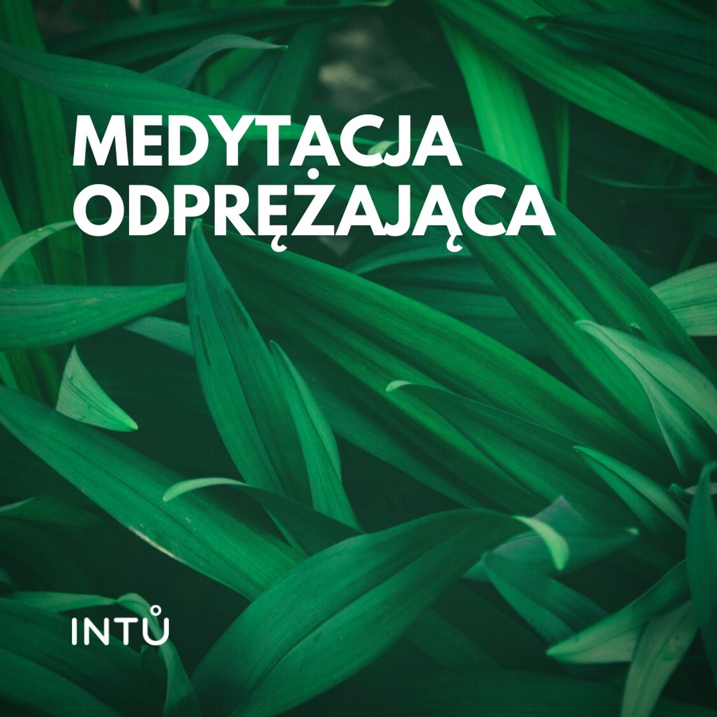 Medytacja odprężająca - INTU