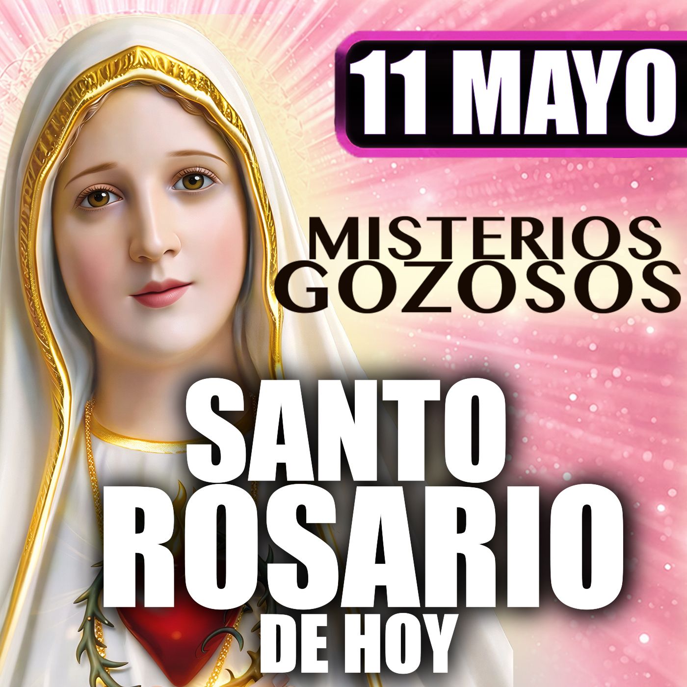 Santo Rosario Mes de María 🌸 por la Familia| 11 de Mayo de 2026 | Misterios Gozosos