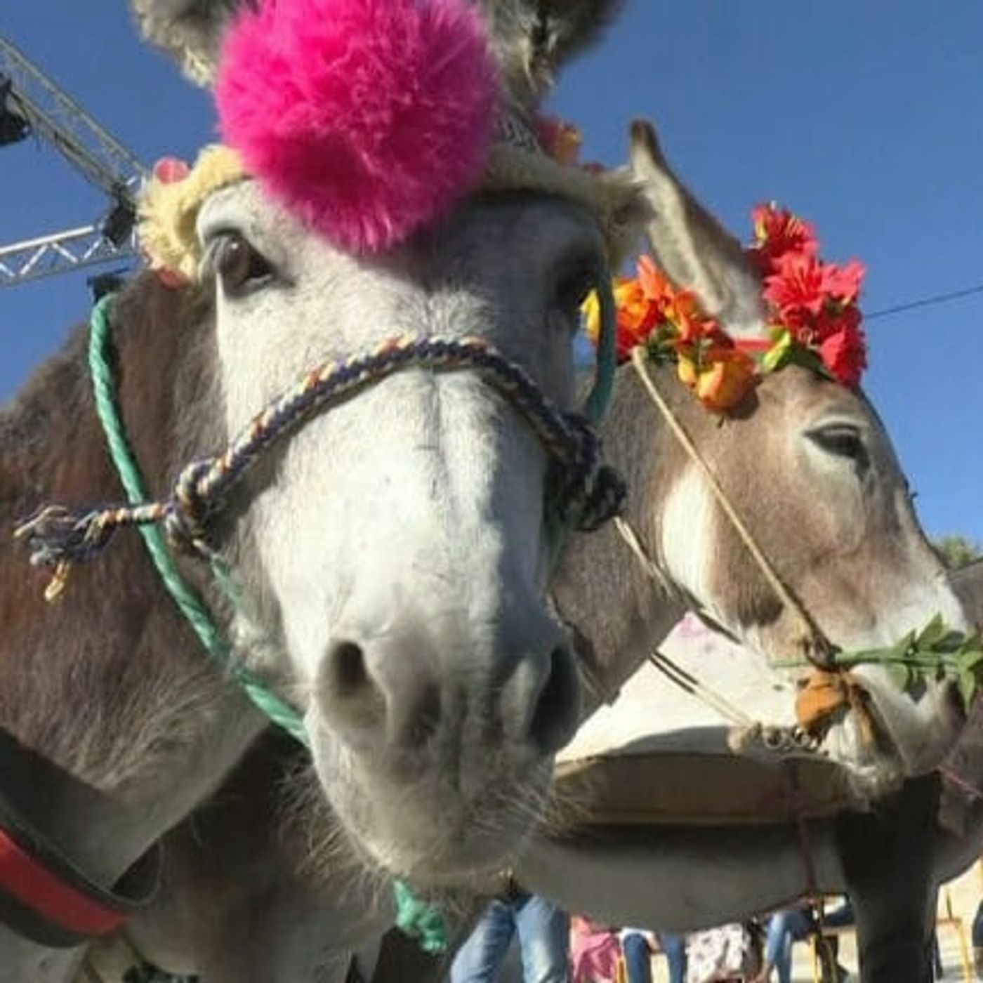 RSS | My Utmost For His Highest