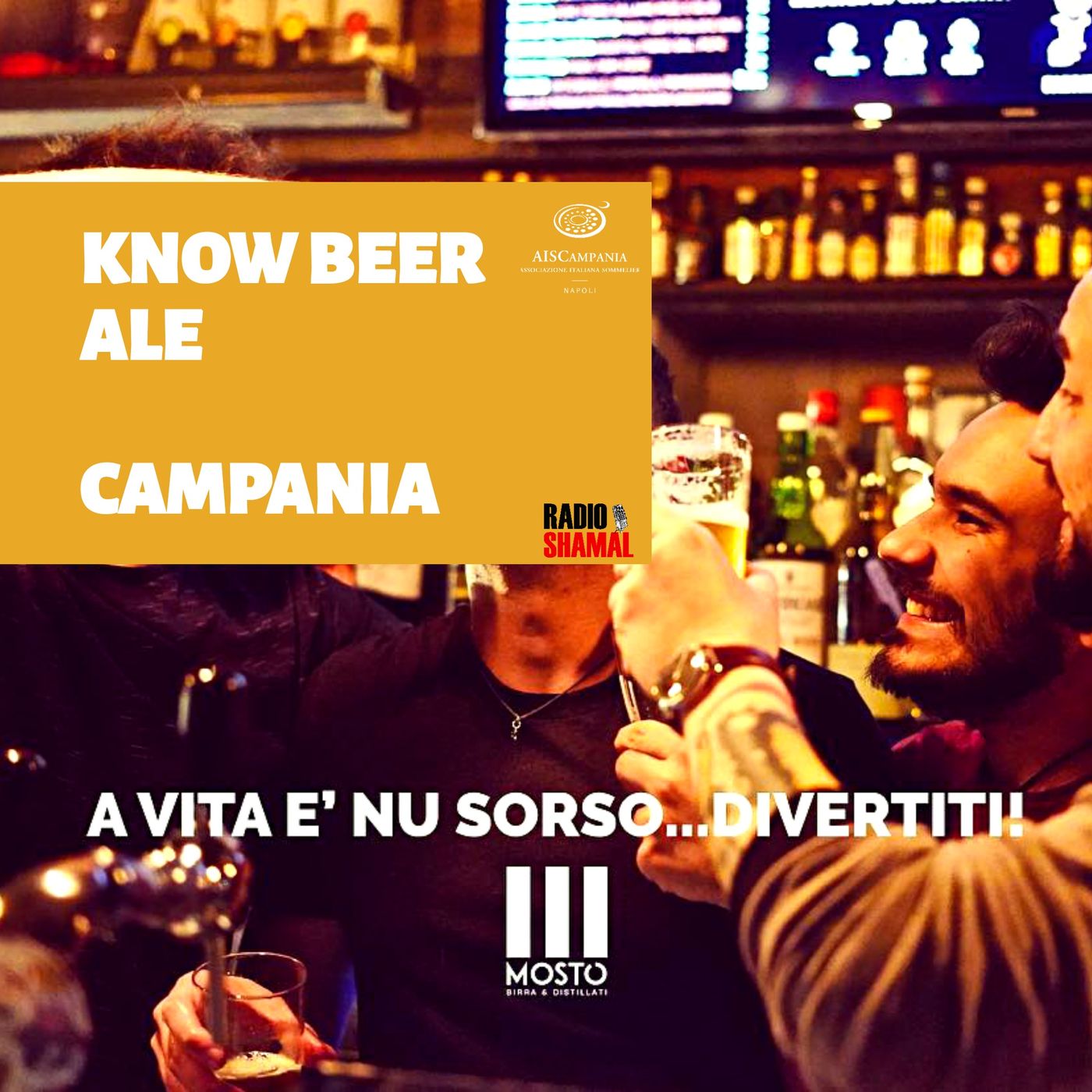 Know Beer Ale - GLI STILI