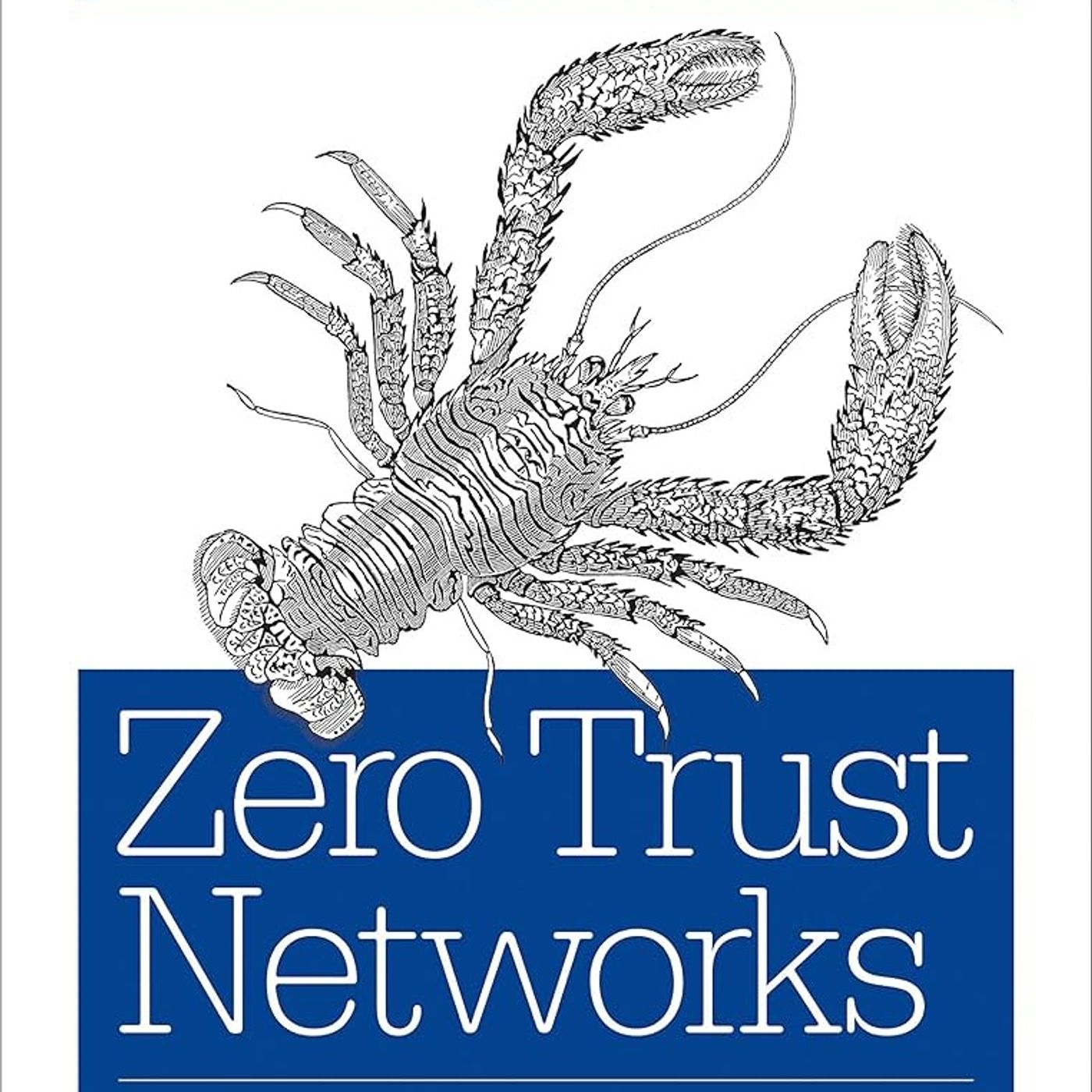 Zero Trust Networks: Building Secure Systems in Untrusted Networks