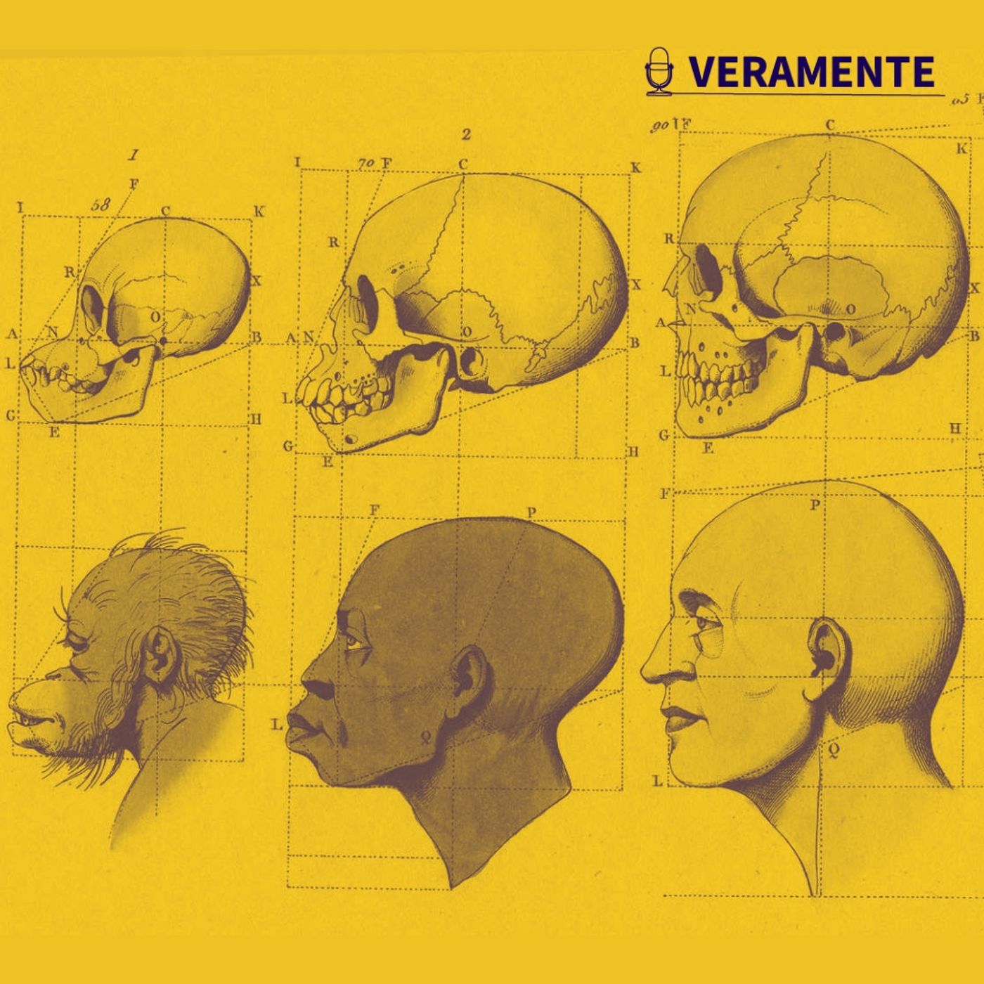 Il nuovo volto del “razzismo scientifico”