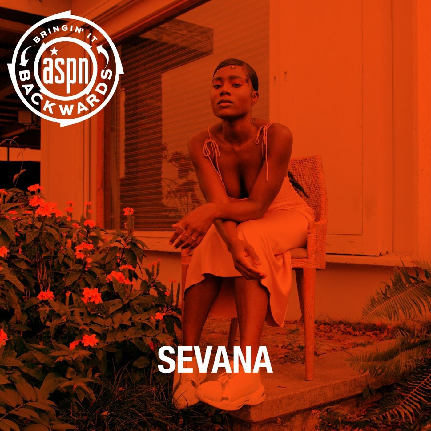 Interview with Sevana