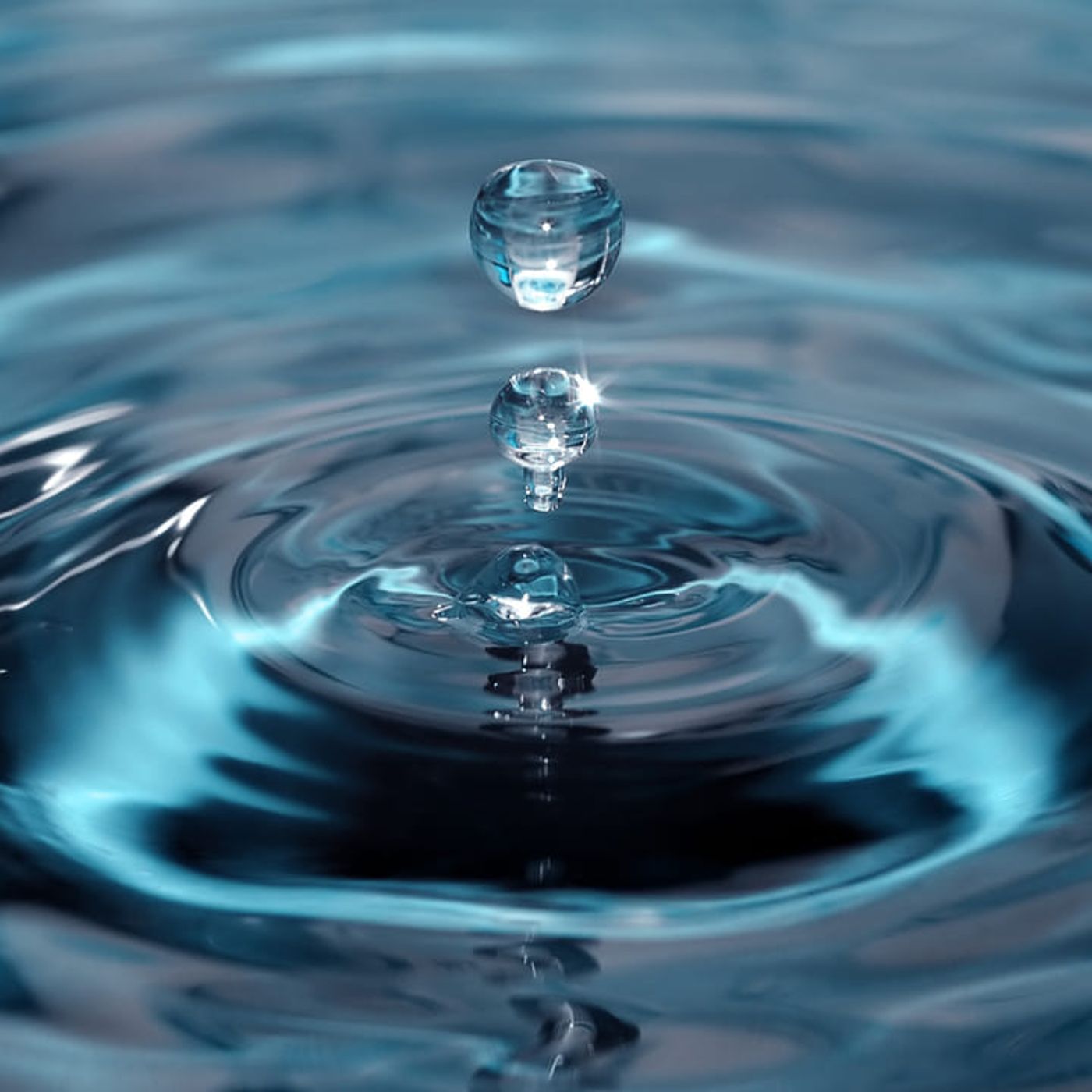 Tema 1: El agua.