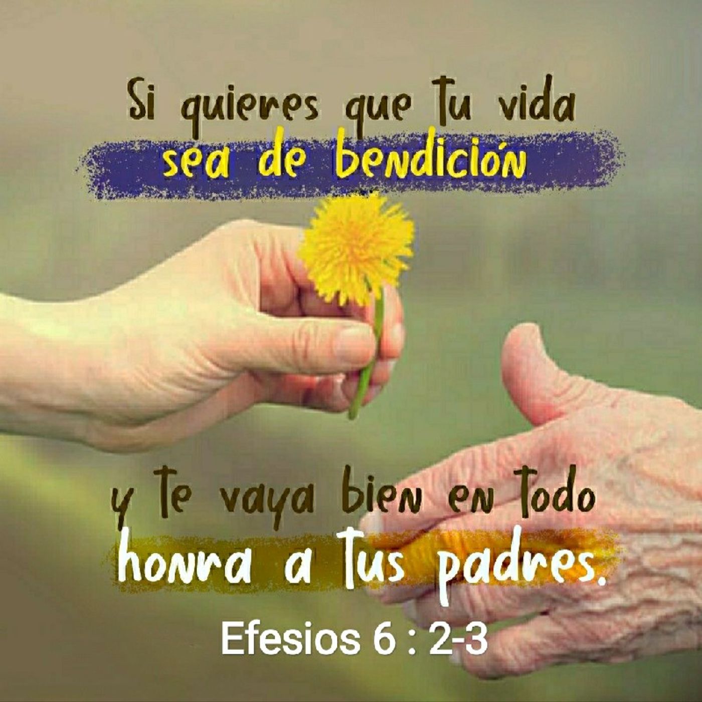 Reflexión Oasis Espiritual.  E. Lizcano