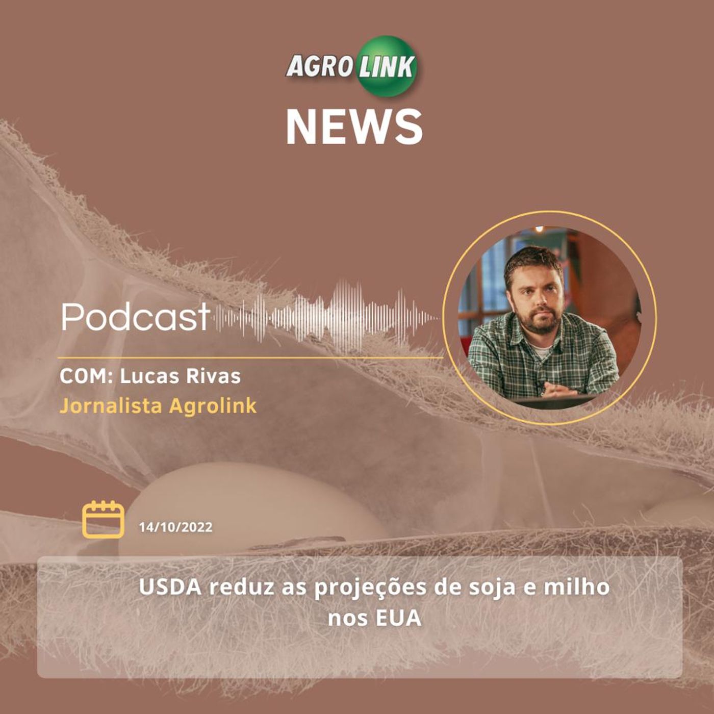 Caí a moagem de cana-de-açúcar de 2021 para 2022 episode artwork