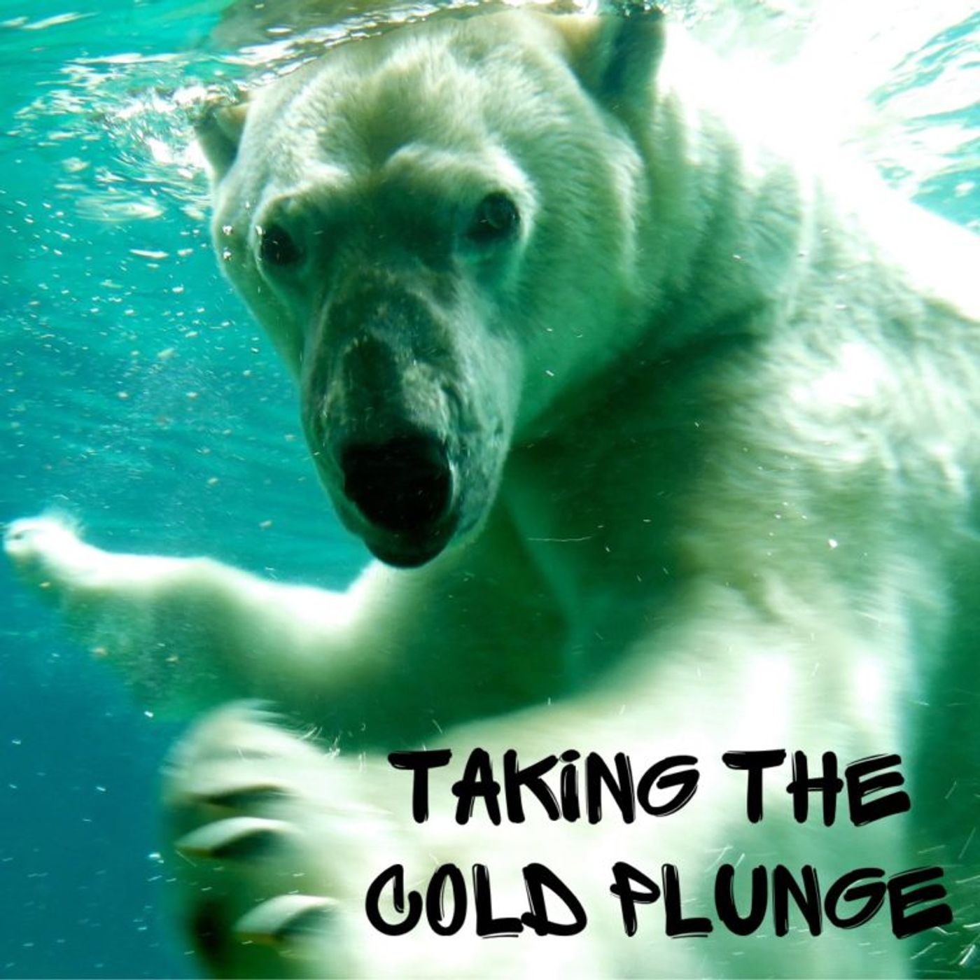 Taking the Cold Plunge