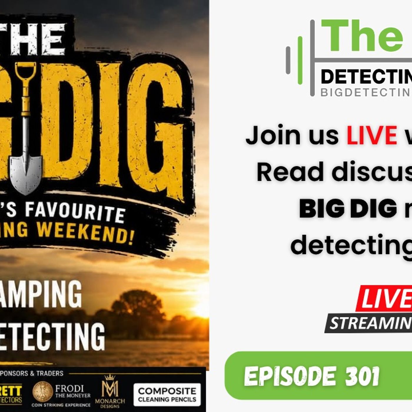 THE BIG DIG on the BIG Detecting Show episode artwork