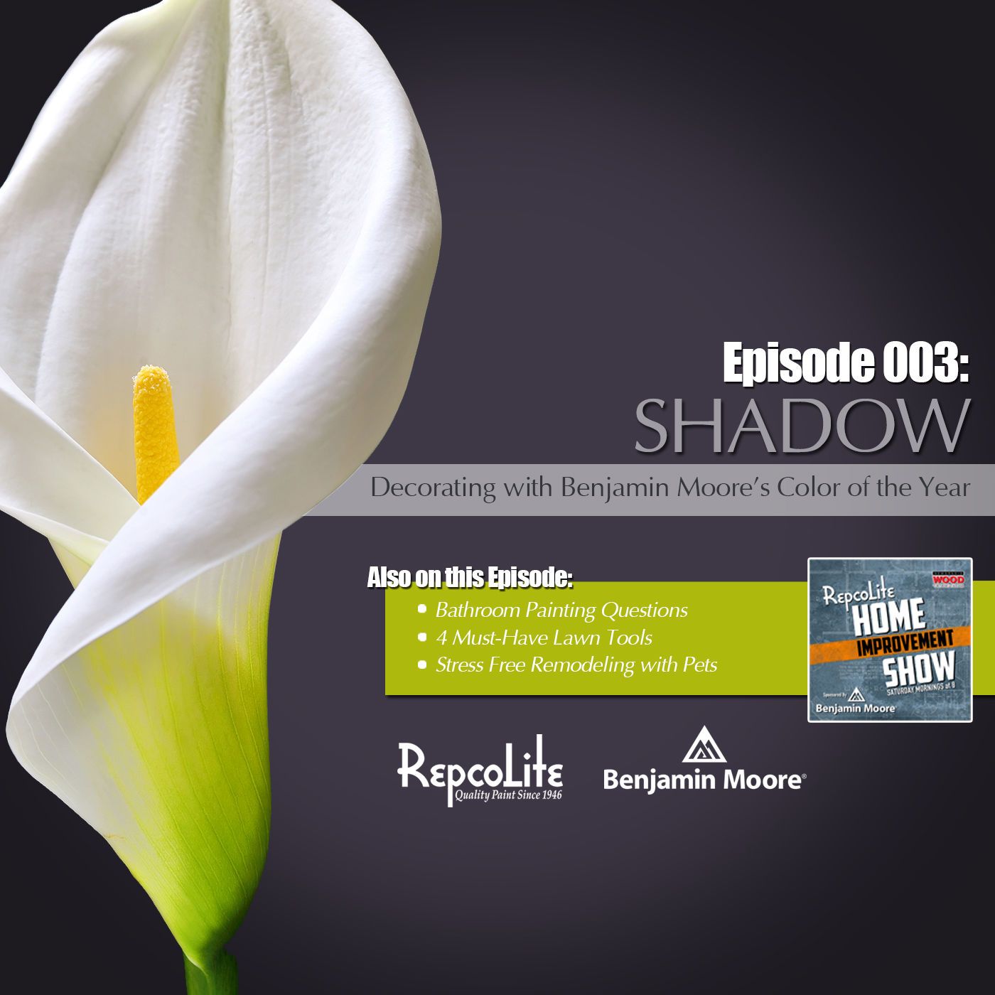 Episode 003: Benjamin Moore Color of the Year & More!