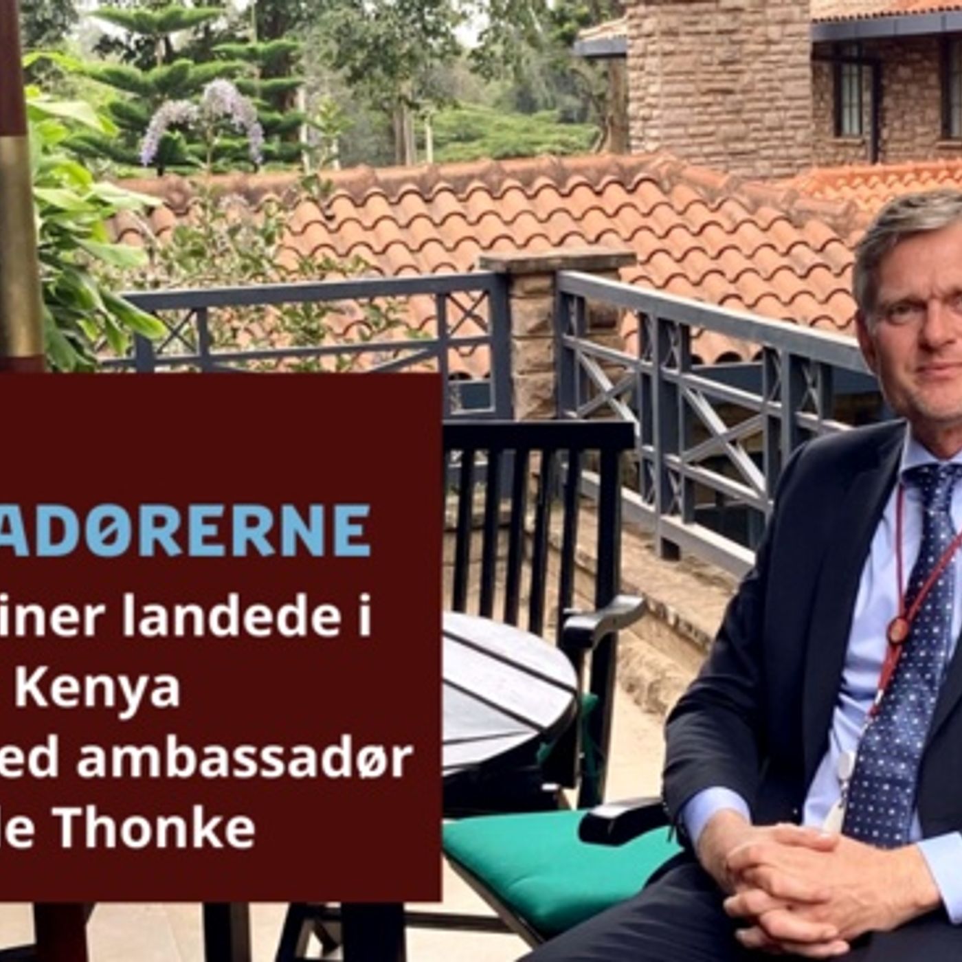 Ambassadørerne