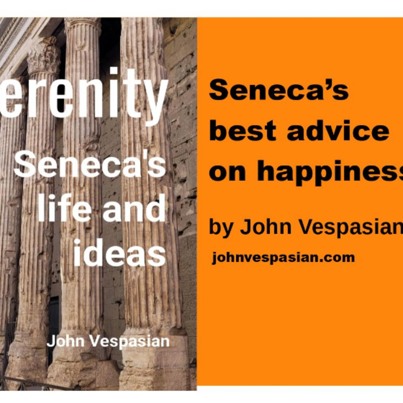 Seneca’s best advice on happiness episode artwork
