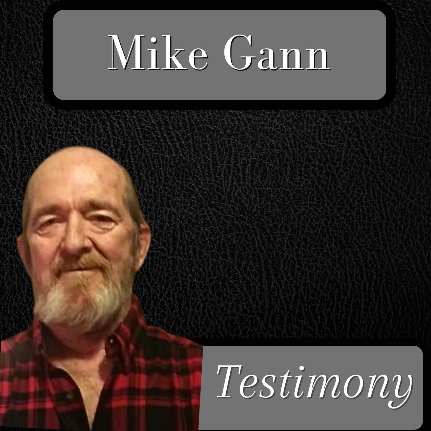 Testimony of Mike Gann episode artwork