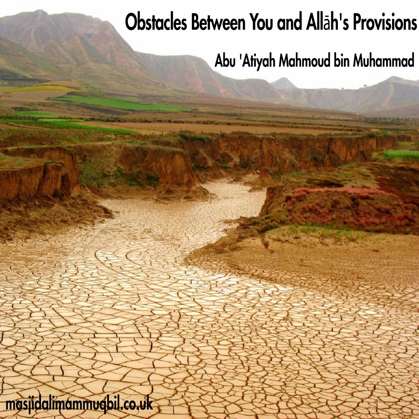 Obstacles Between You and Allāh's Provisions | Abu 'Atiyah Mahmoud bin Muhammad episode artwork