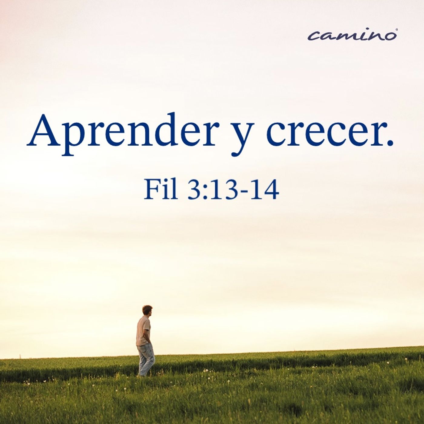 Oración 31 de diciembre (Aprender y crecer) episode artwork