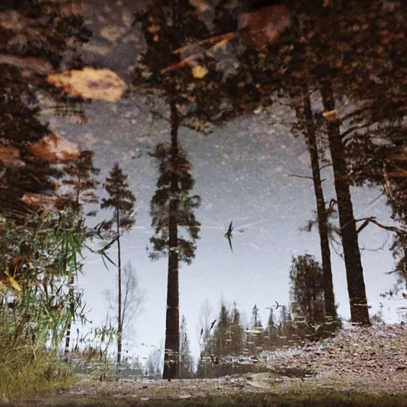 Filosofiske meditationer over eksistentialer i det samskabende menneskes liv af Morten Paustian