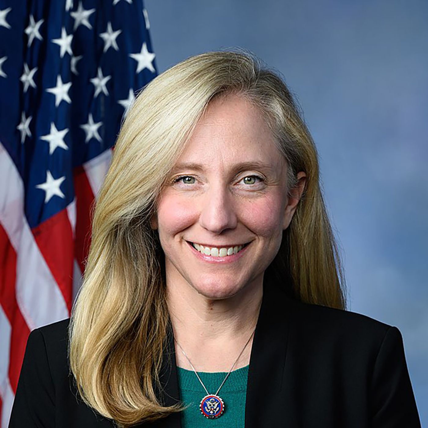 Abigail Spanberger and the 2025 Virginia Democratic Surge episode artwork