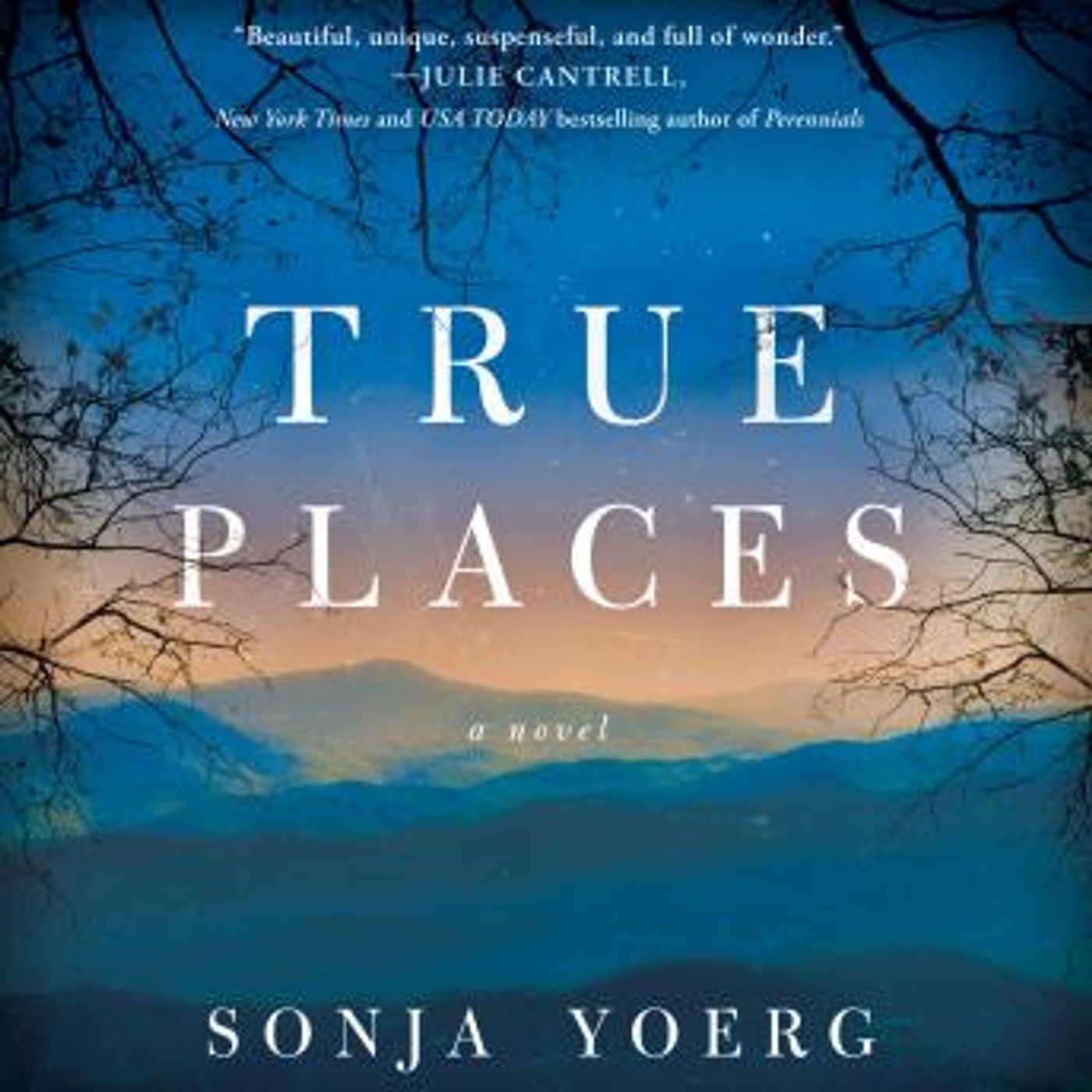 Download Best Full-Length Audiobooks in Fiction, Contemporary Women