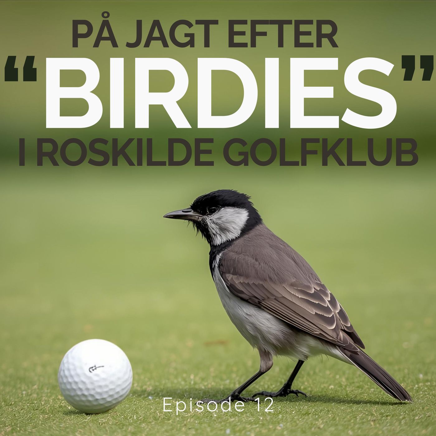 På jagt efter "birdies" i Roskilde Golfklub