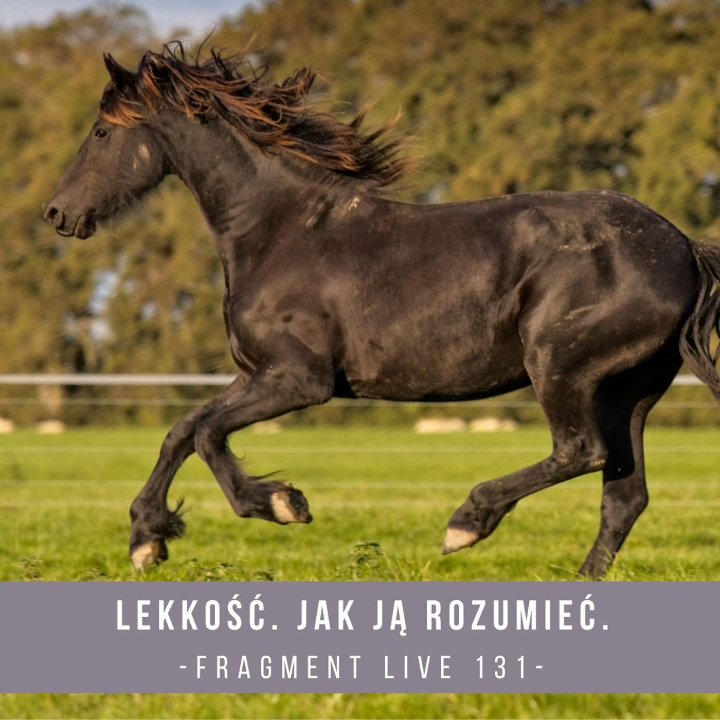 Lekkość. Jak ją rozumieć - fragment live 131 episode artwork