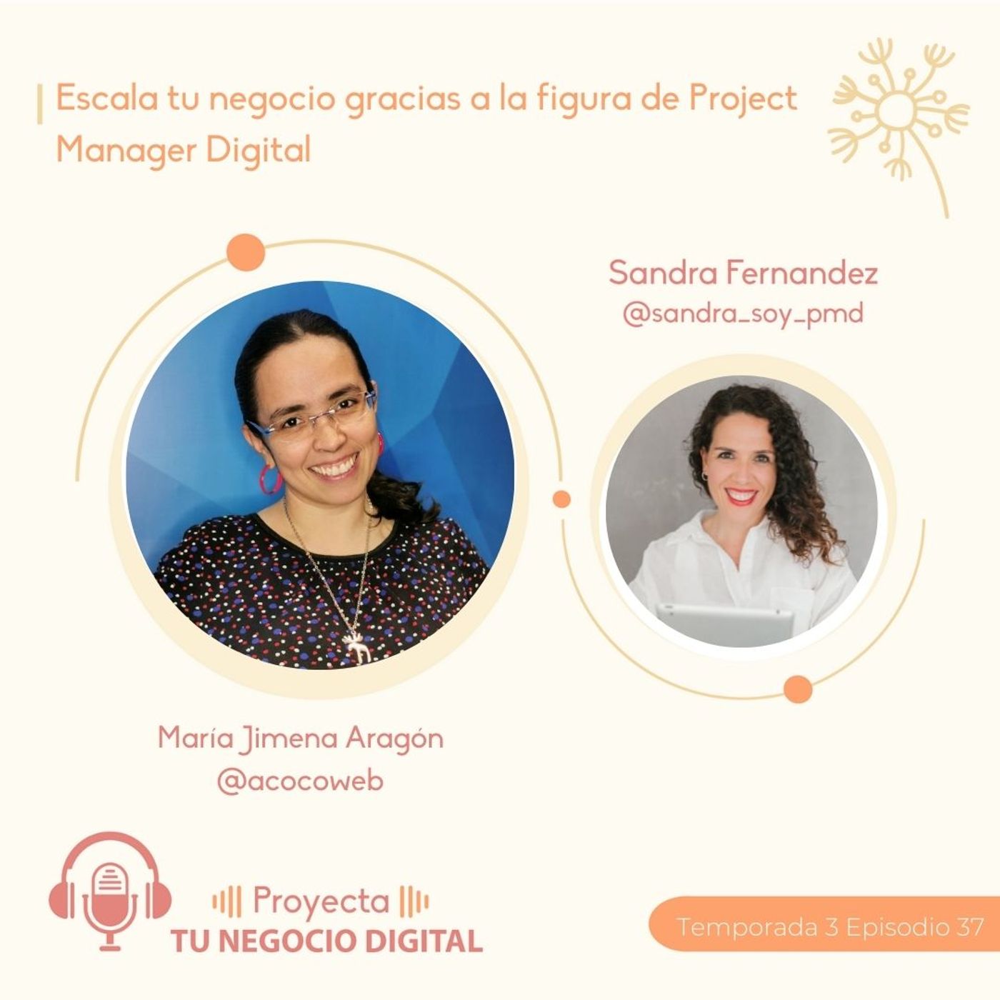 Escala tu negocio gracias a la figura del Project Manager Digital episode artwork